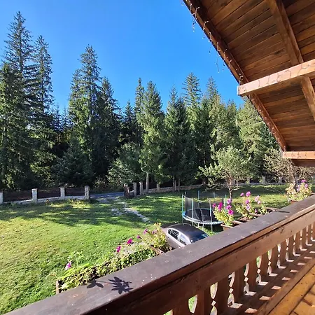 Tatil Evi White House Mykulychyn